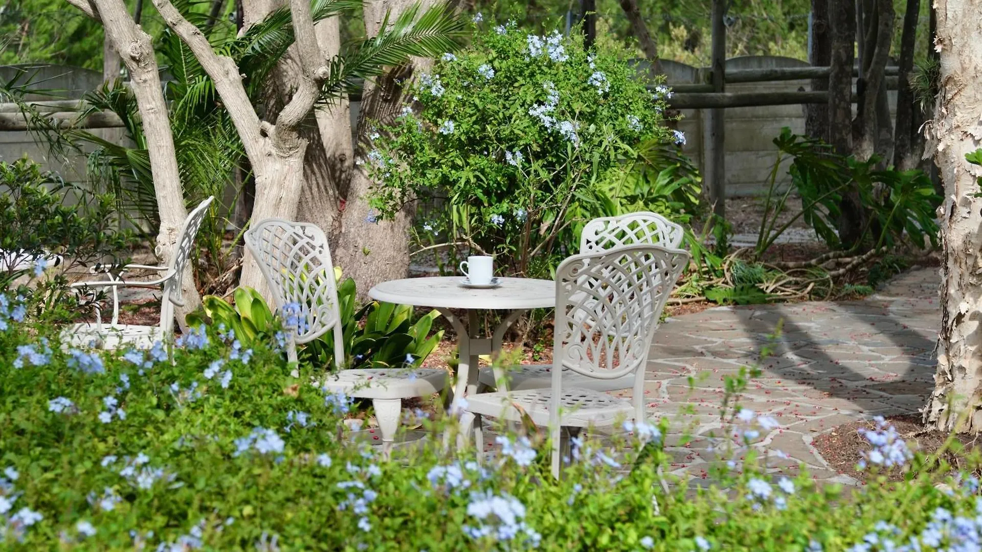 Bed & Breakfast Somer House Guest Suites Somerset West South Africa